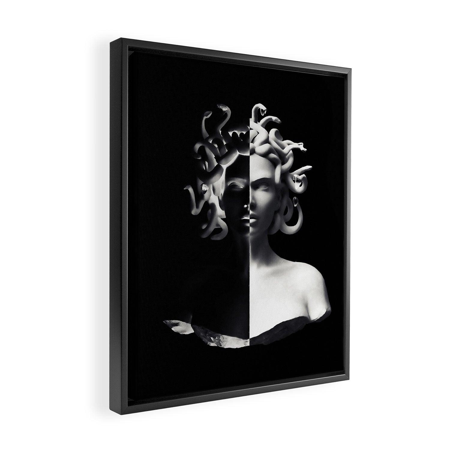 Positive-negative Medusa Framed Canvas Print Gallery Image 2