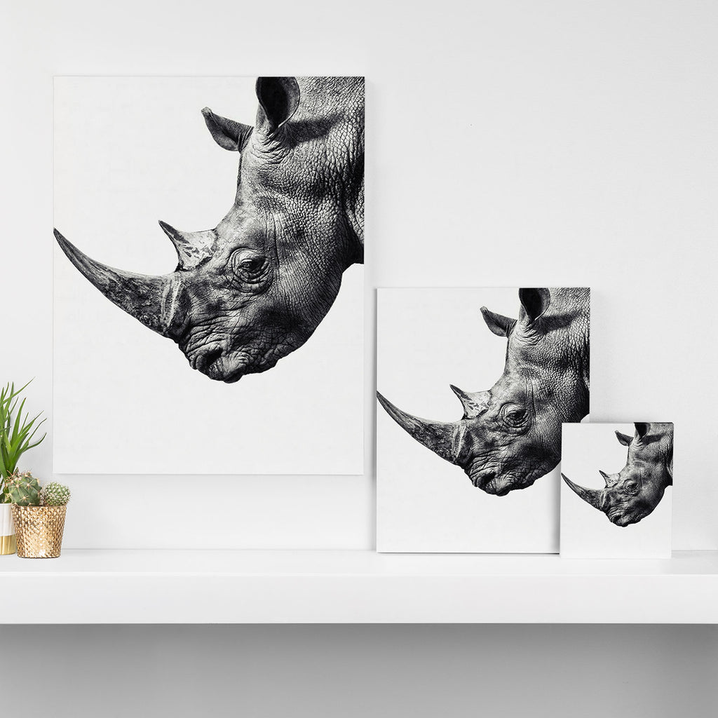 Rhino ... Canvas Print Gallery Image 3