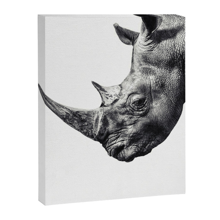 Rhino ... Canvas Print Gallery Image 1