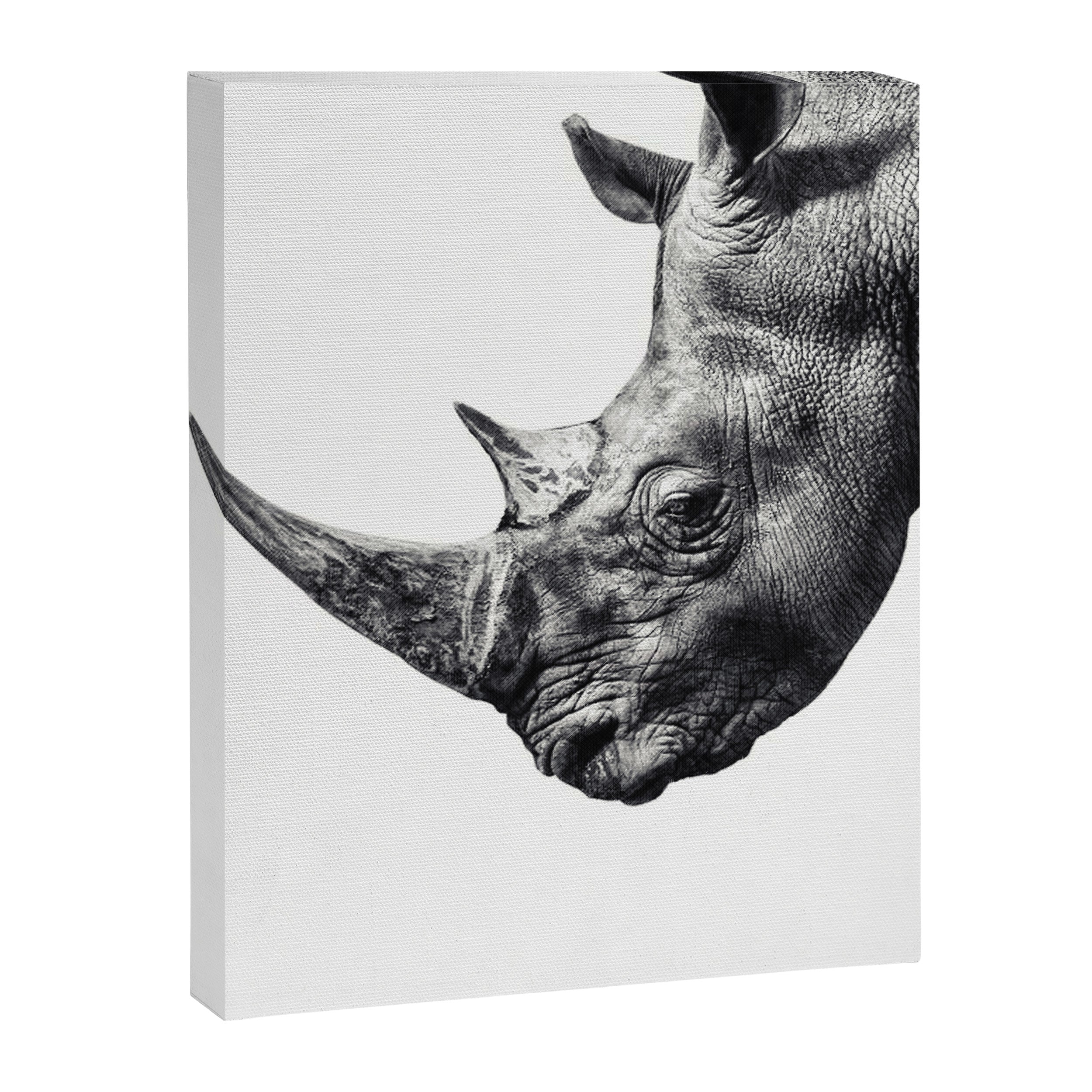 Rhino ... Canvas Print Gallery Image 3