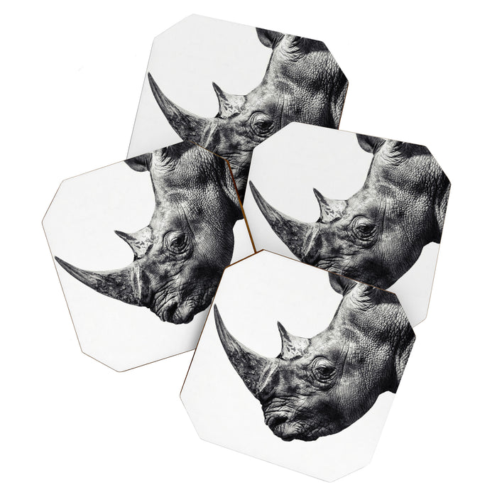 Rhino ... Coaster Gallery Image 1