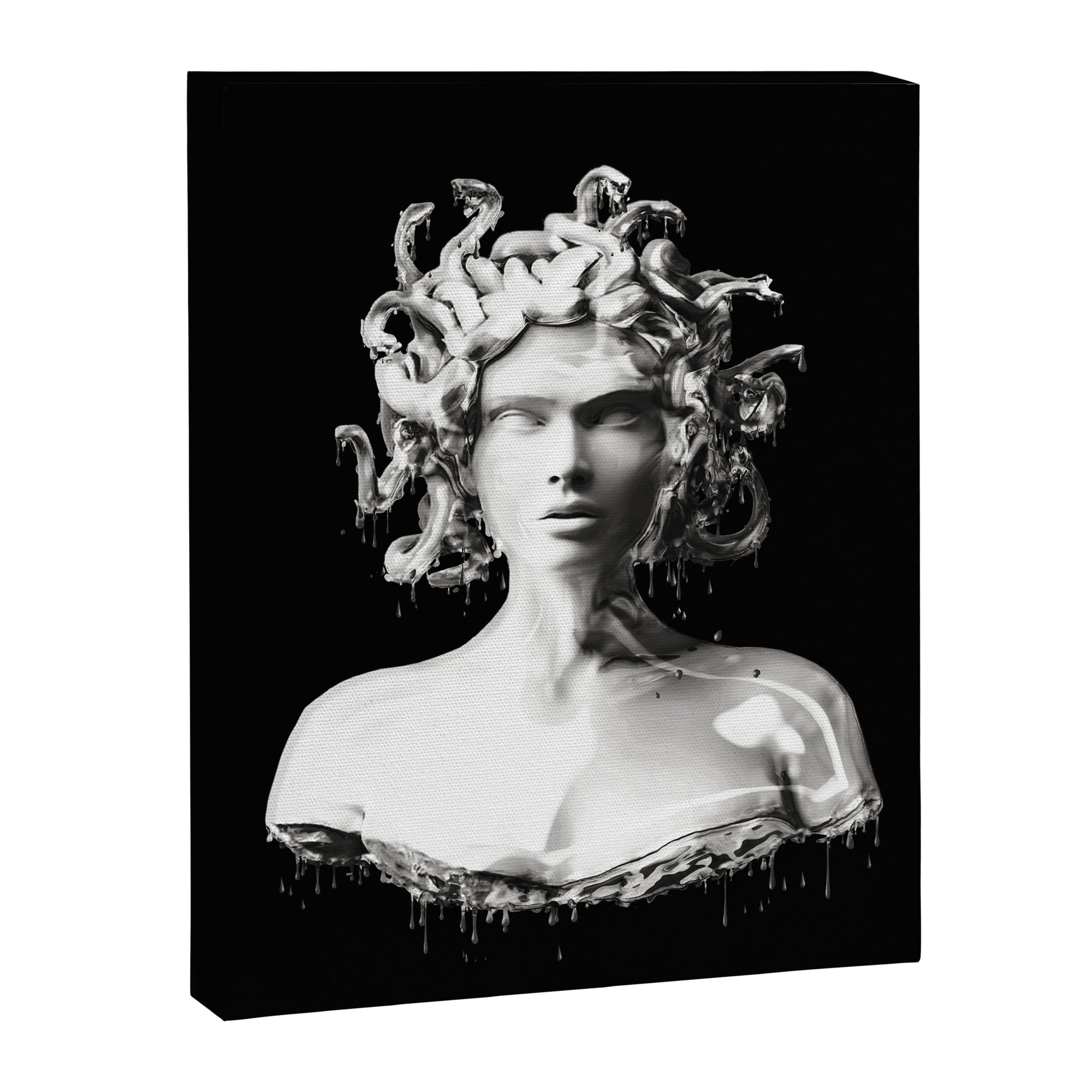 Silver Medusa Canvas Print Gallery Image 6