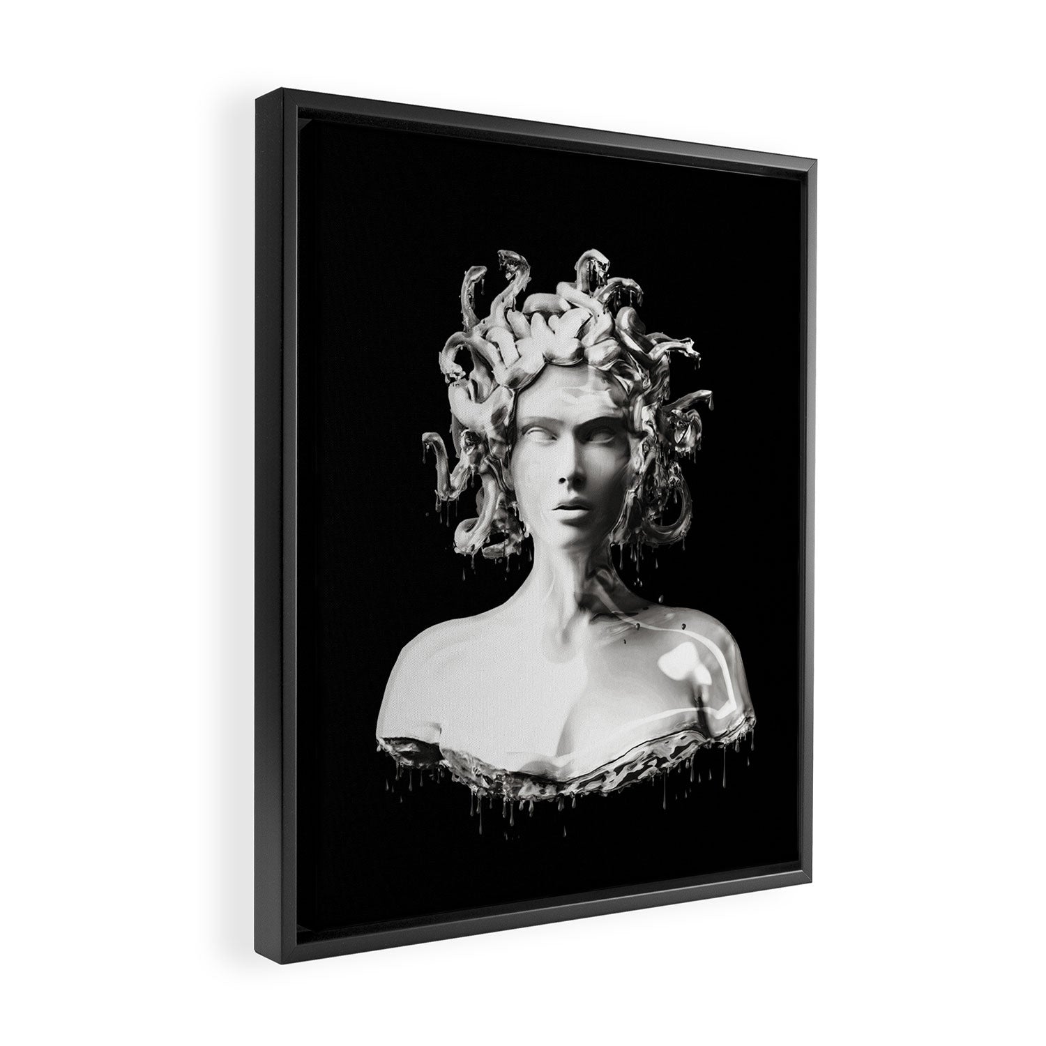 Silver Medusa Framed Canvas Print Gallery Image 2