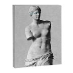 Venus de Milo Canvas Print Gallery Image 6
