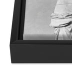 Venus de Milo Framed Canvas Print Gallery Image 3