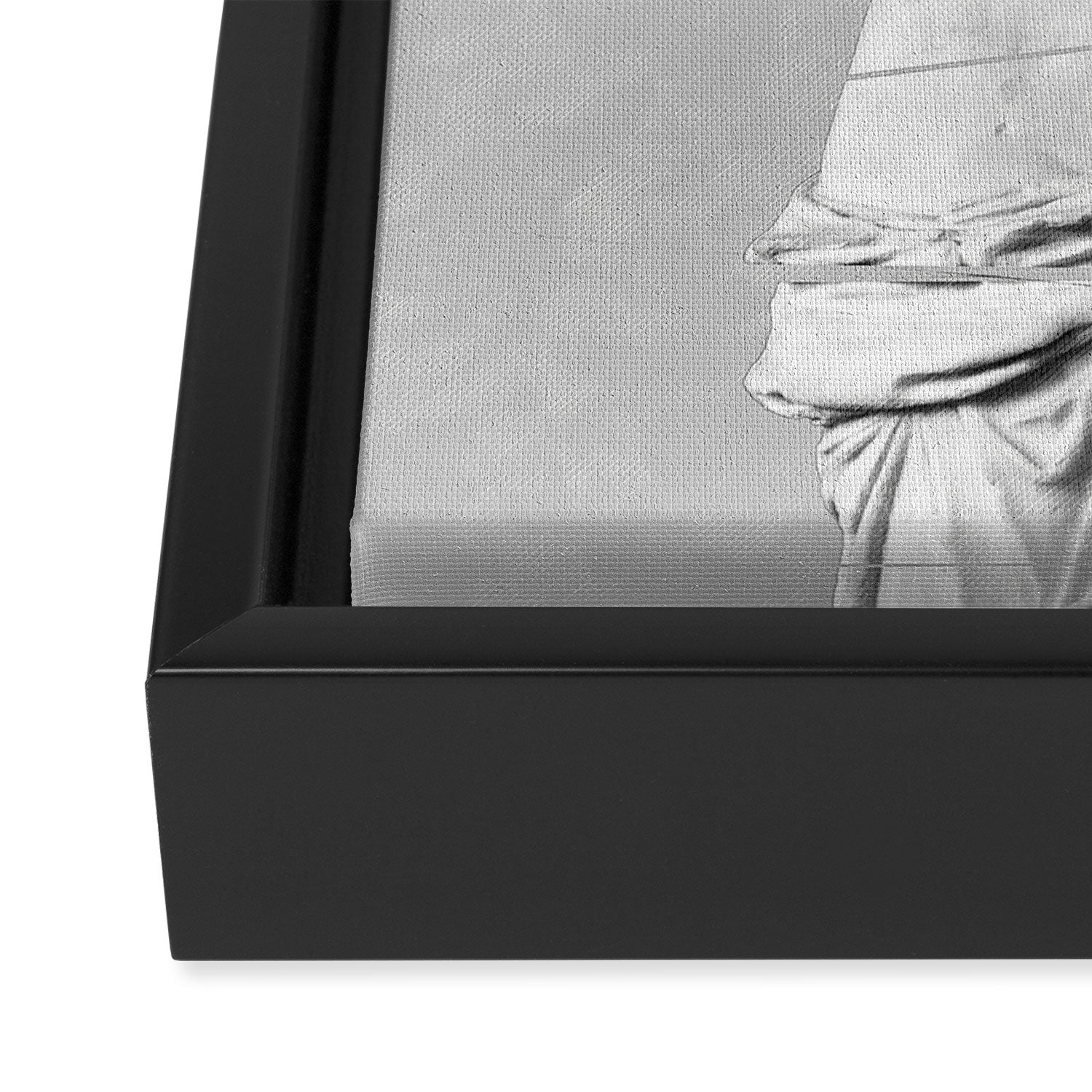 Venus de Milo Framed Canvas Print Gallery Image 3