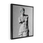 Venus de Milo Framed Canvas Print Gallery Image 2