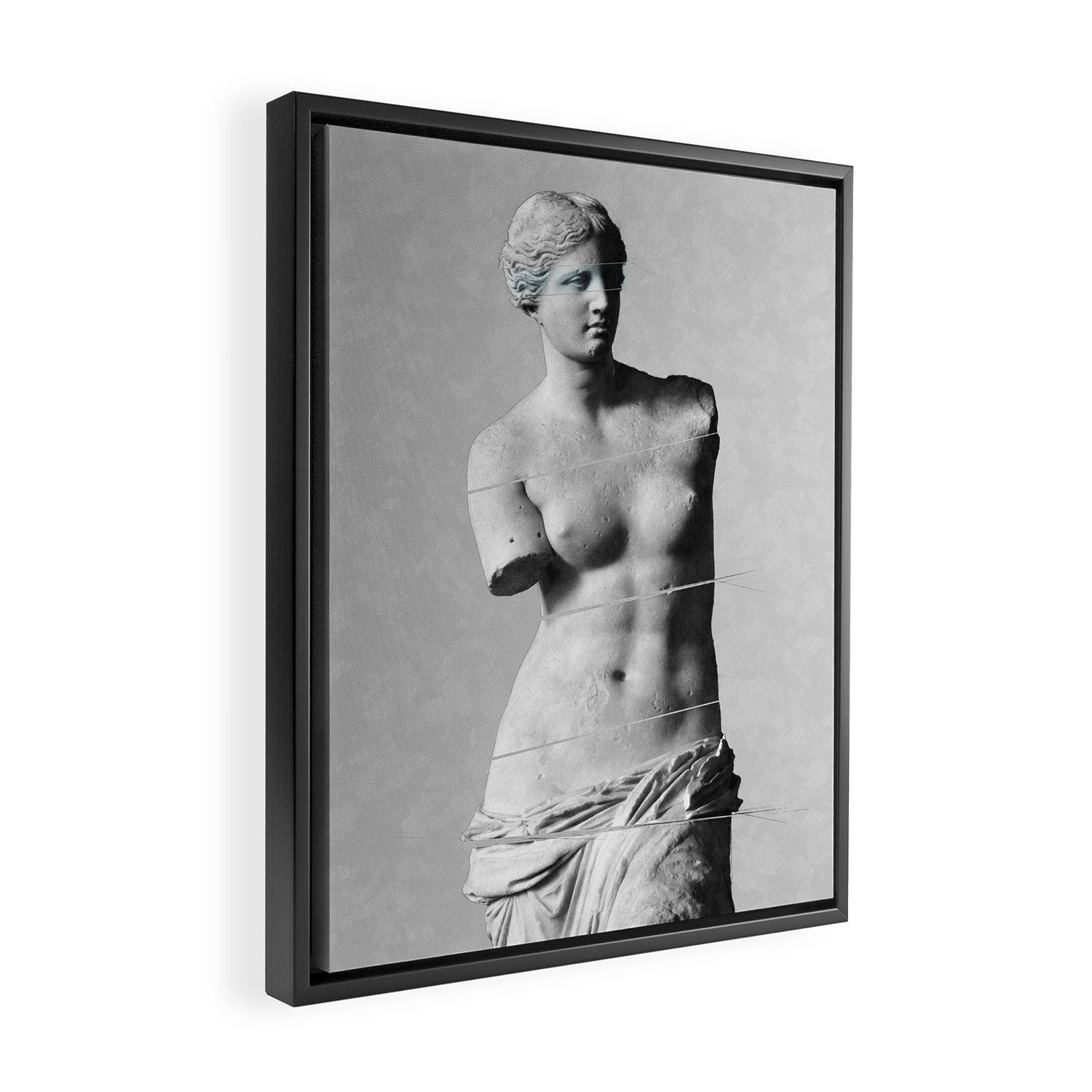Venus de Milo Framed Canvas Print Gallery Image 2