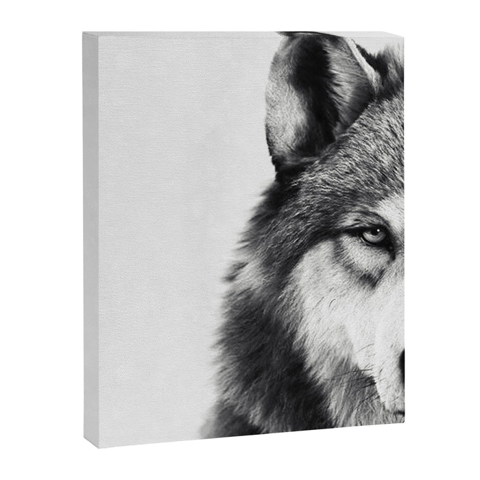 Wolf Canvas Print Gallery Image 1