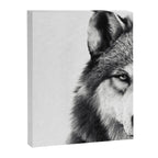 Wolf Canvas Print Gallery Image 6