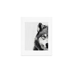 Wolf Art Print Gallery Image 1