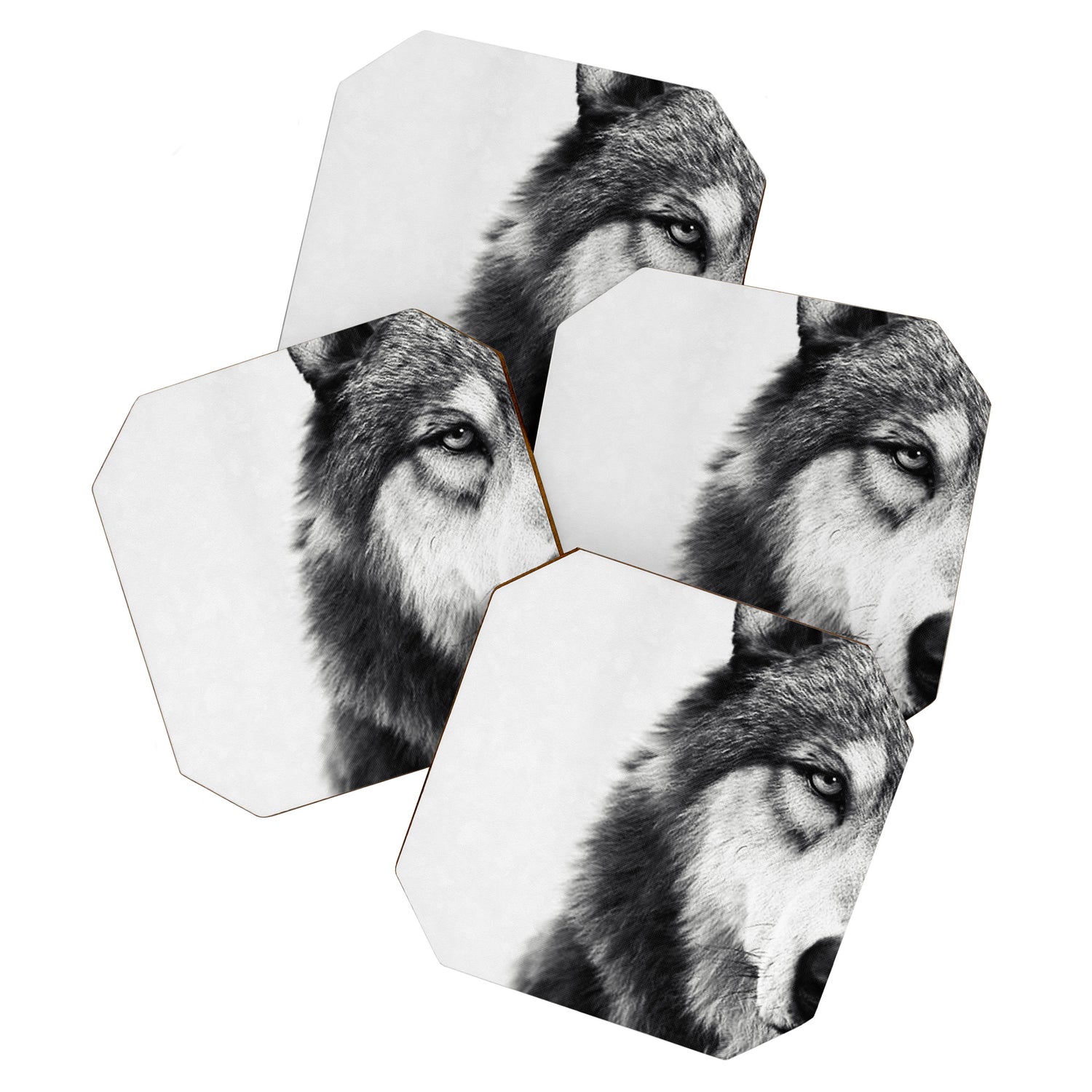 Wolf Coaster Gallery Image 1