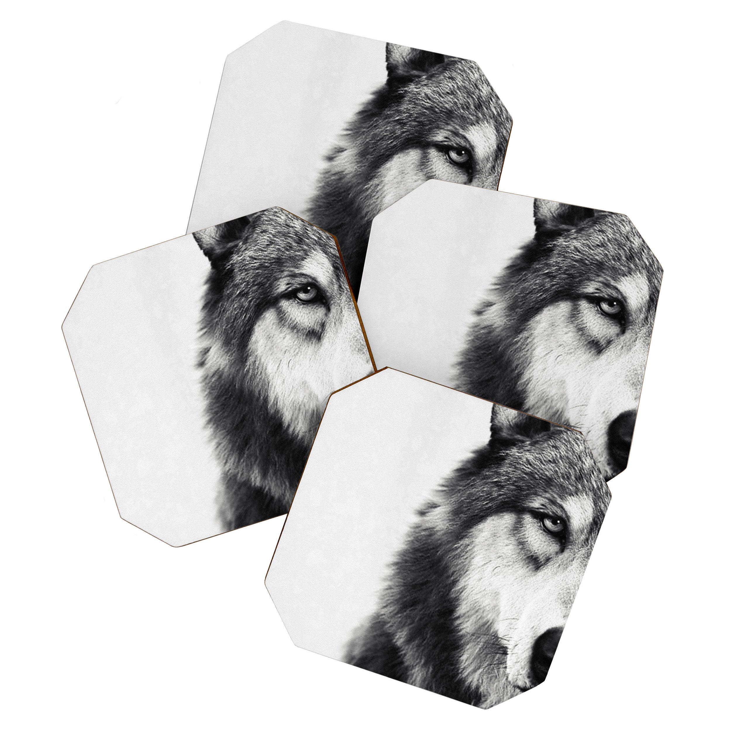 Wolf Coaster Gallery Image 1