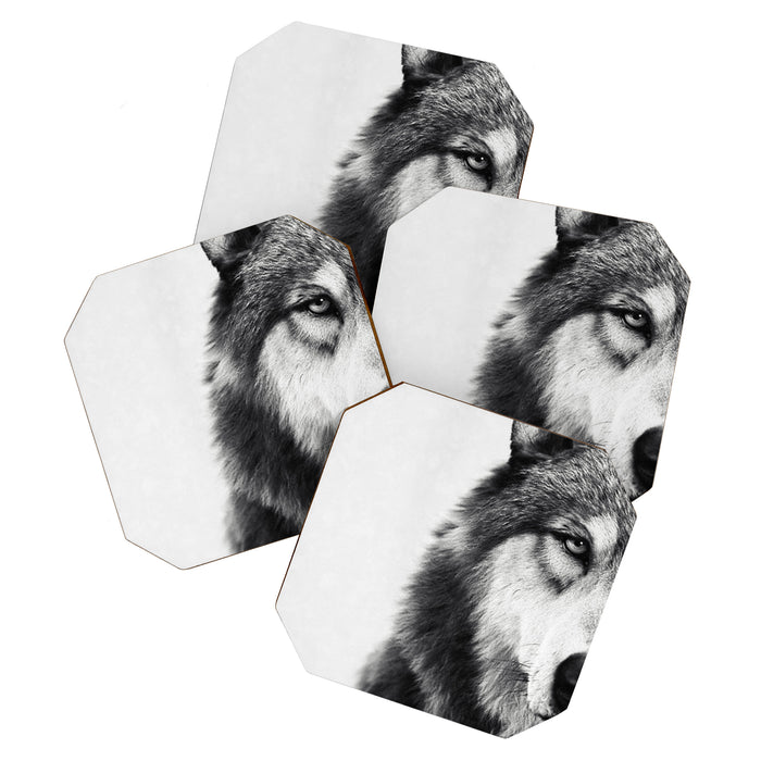 Wolf Coaster Gallery Image 1