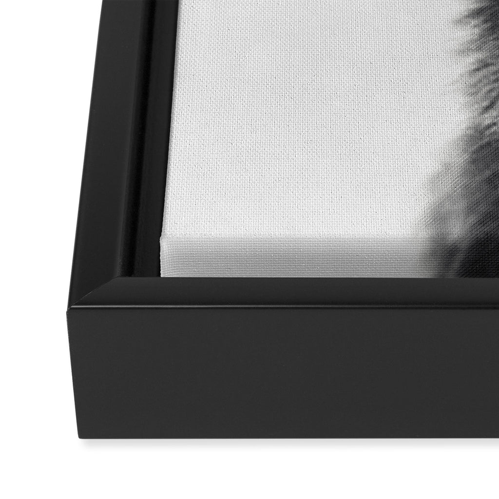 Wolf Framed Canvas Print Gallery Image 3