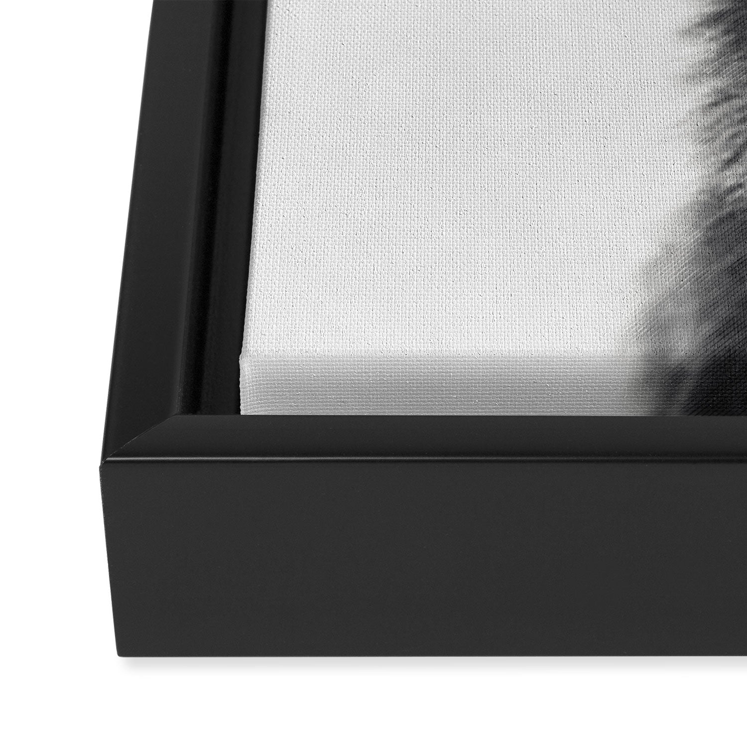 Wolf Framed Canvas Print Gallery Image 3