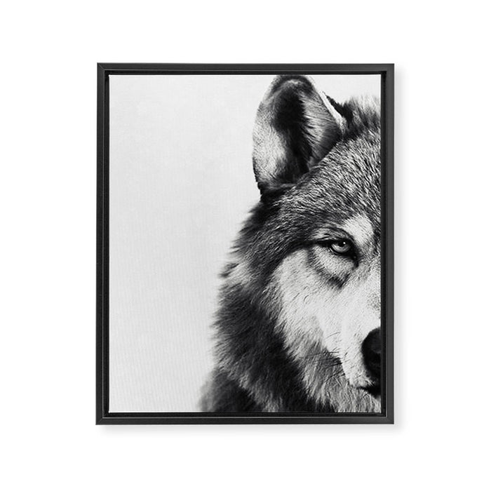 Wolf Framed Canvas Print Gallery Image 1