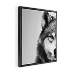 Wolf Framed Canvas Print Gallery Image 2