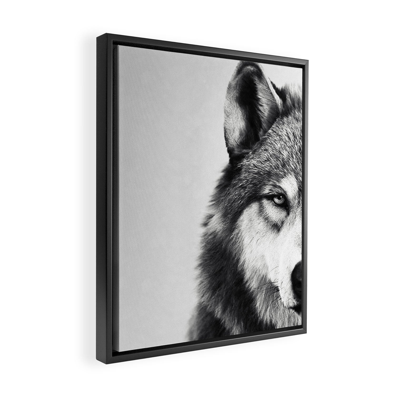 Wolf Framed Canvas Print Gallery Image 2