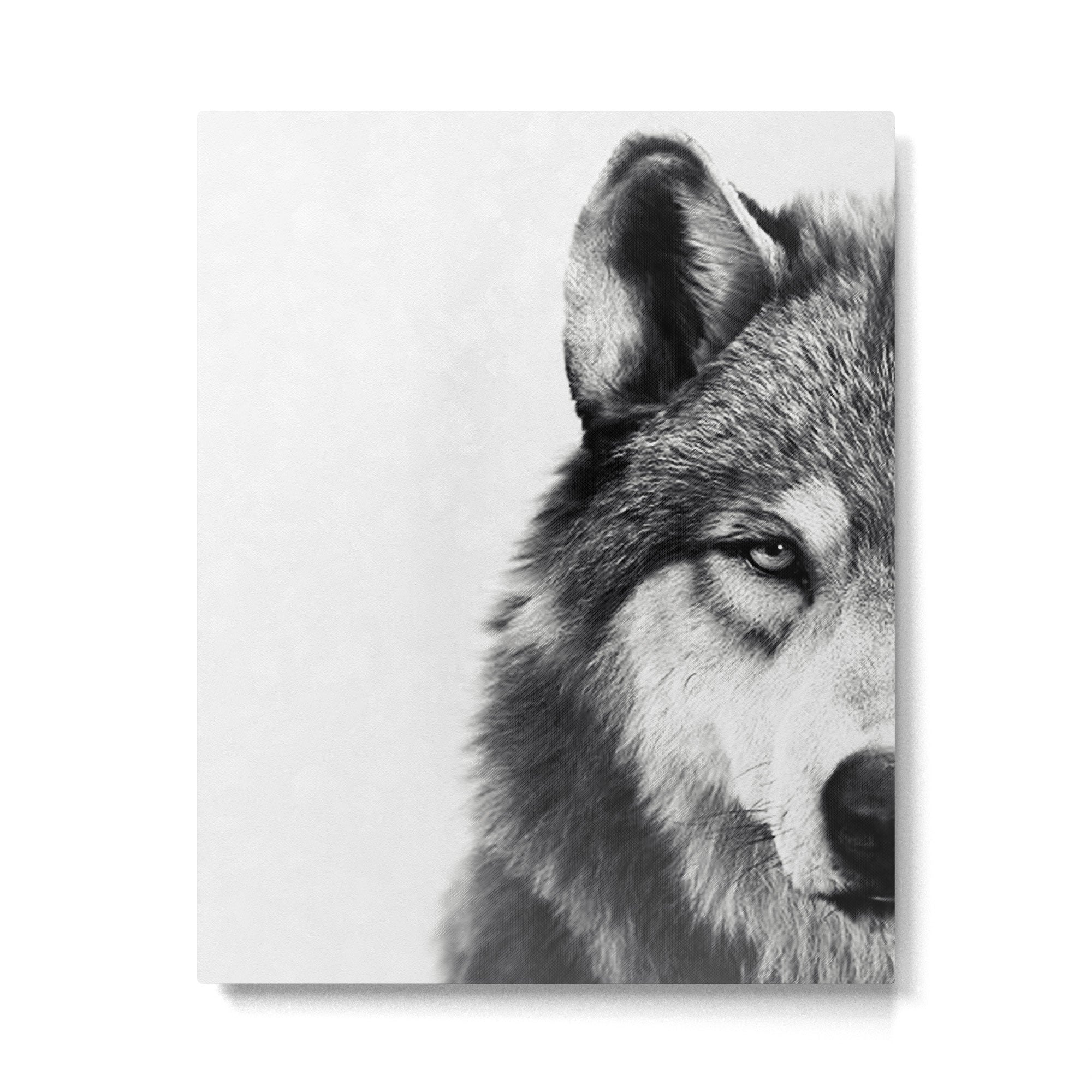 Wolf Metal Print Gallery Image 4