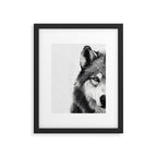 Wolf Framed Art Print Gallery Image 5
