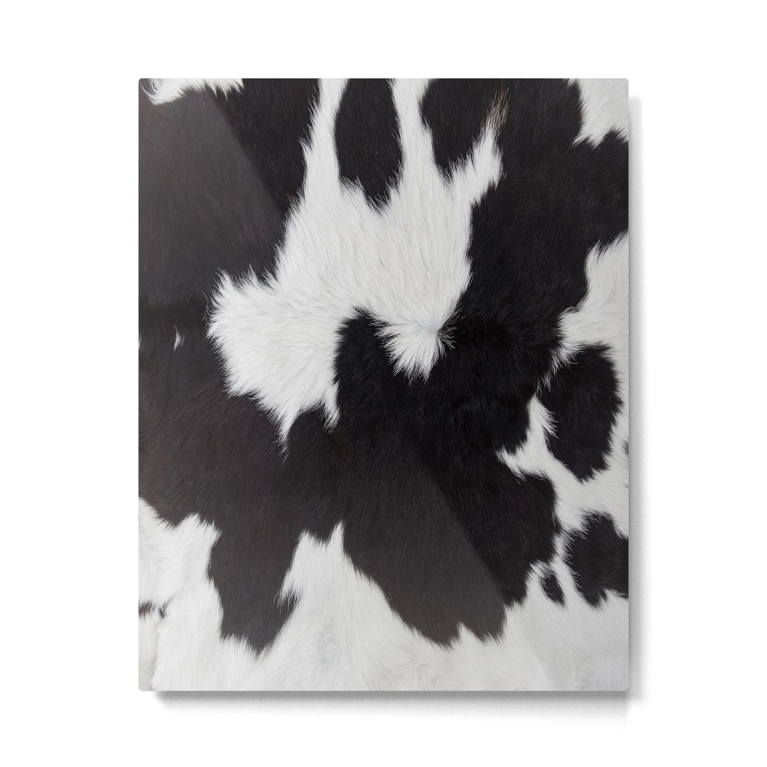 Black Cowhide, Cow Skin Print Pattern, Modern Cowhide Faux Leather Metal Print Gallery Image 6