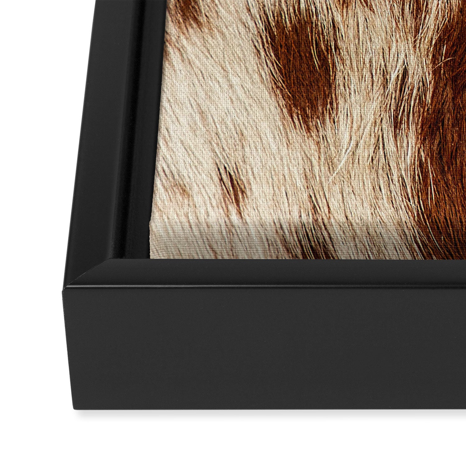 Brown Cowhide, Cow Skin Print Pattern Modern Cowhide Faux Leather Framed Canvas Print Gallery Image 3