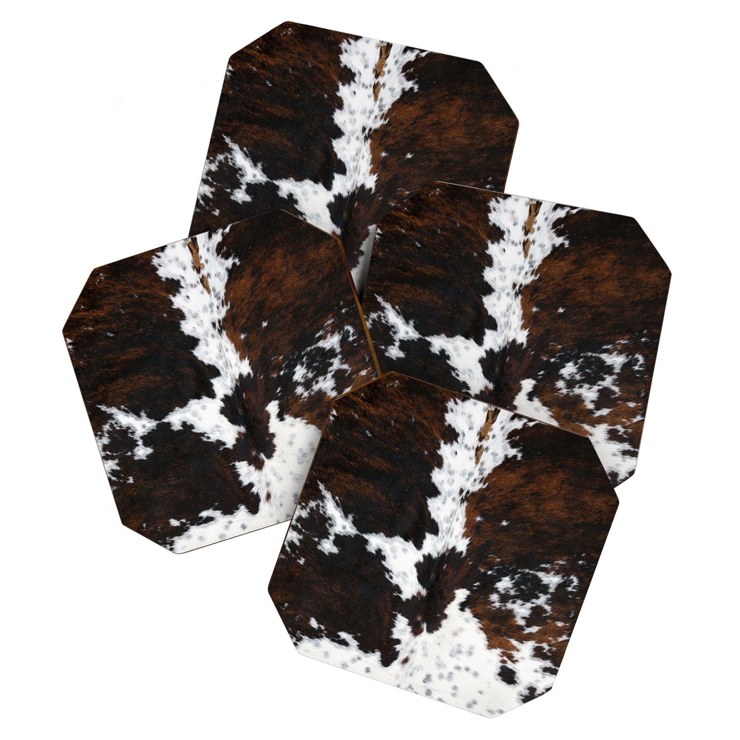 Brown Cowhide, Farmhouse decor Coaster Gallery Image 1