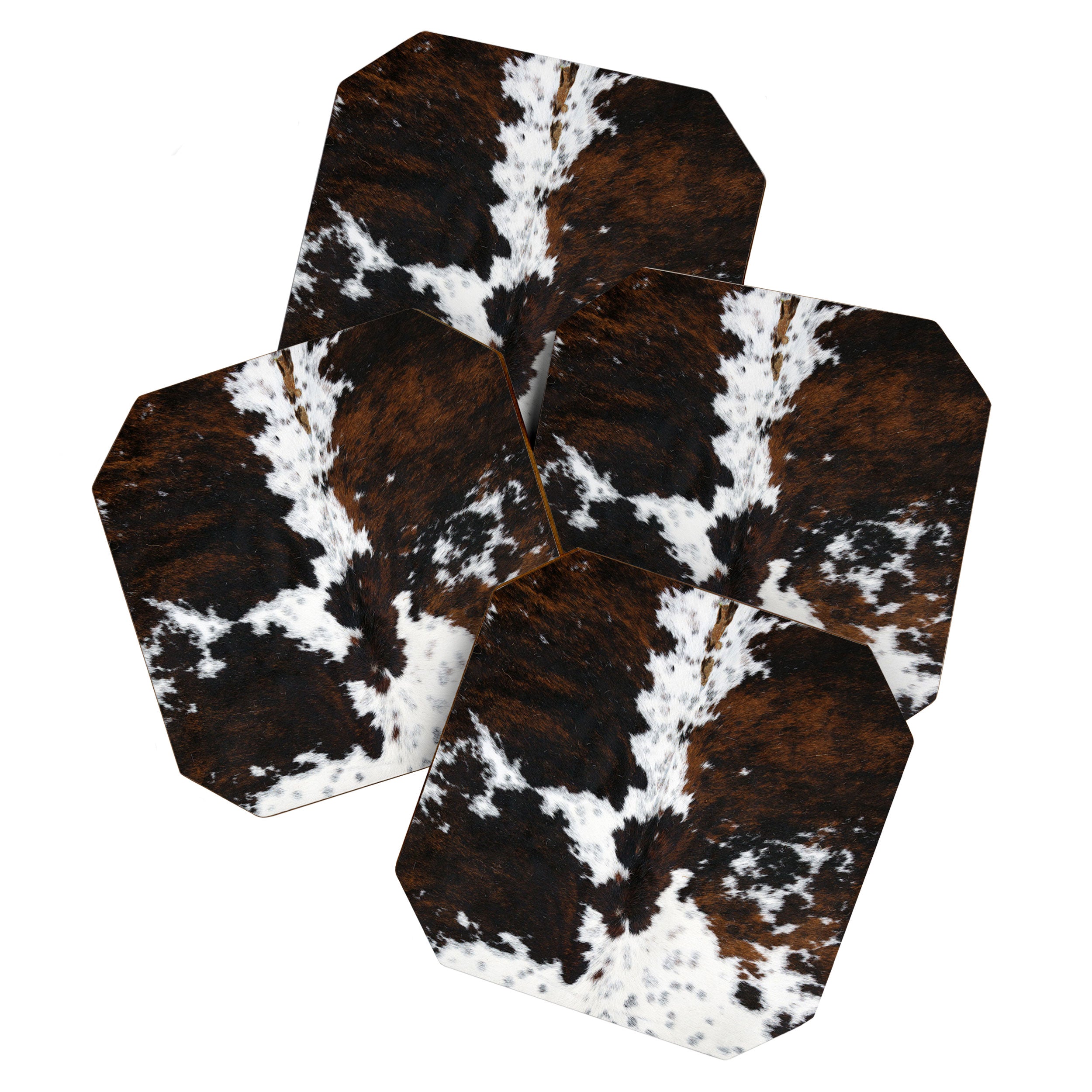 Brown Cowhide, Farmhouse decor Coaster Gallery Image 1