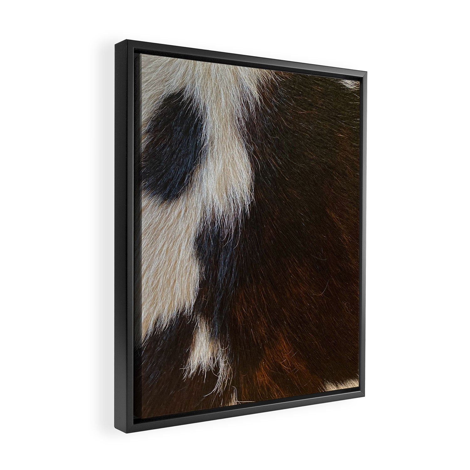 Cowhide Farmhouse Decor  Framed Canvas Print Gallery Image 2