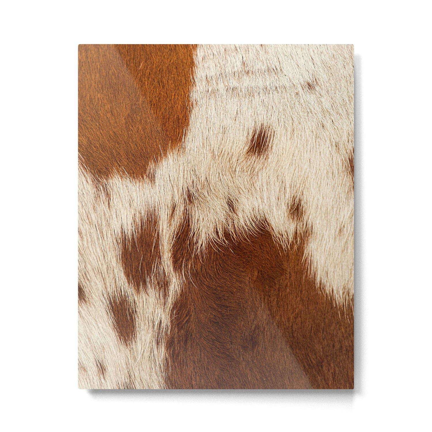 Cowhide Farmhouse Decor Metal Print Gallery Image 6