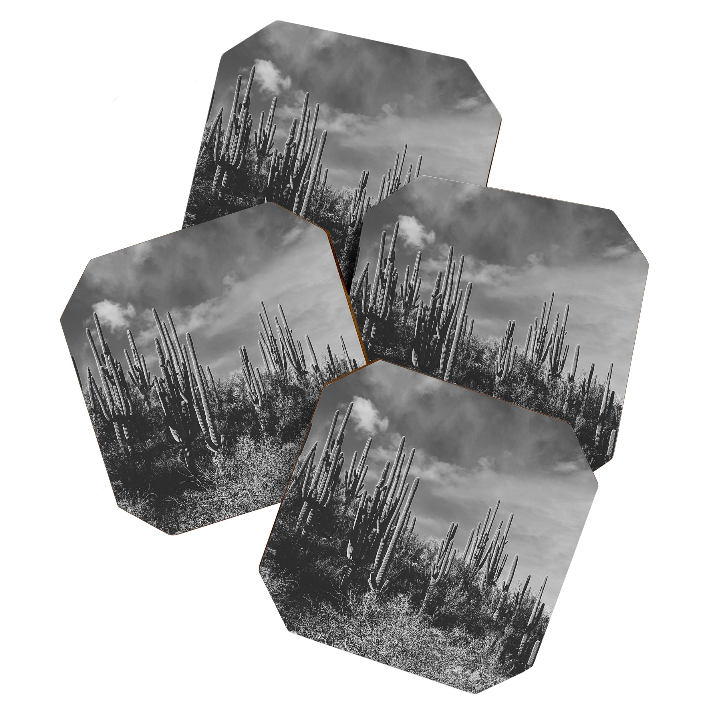 saguaro soiree Coaster Gallery Image 1
