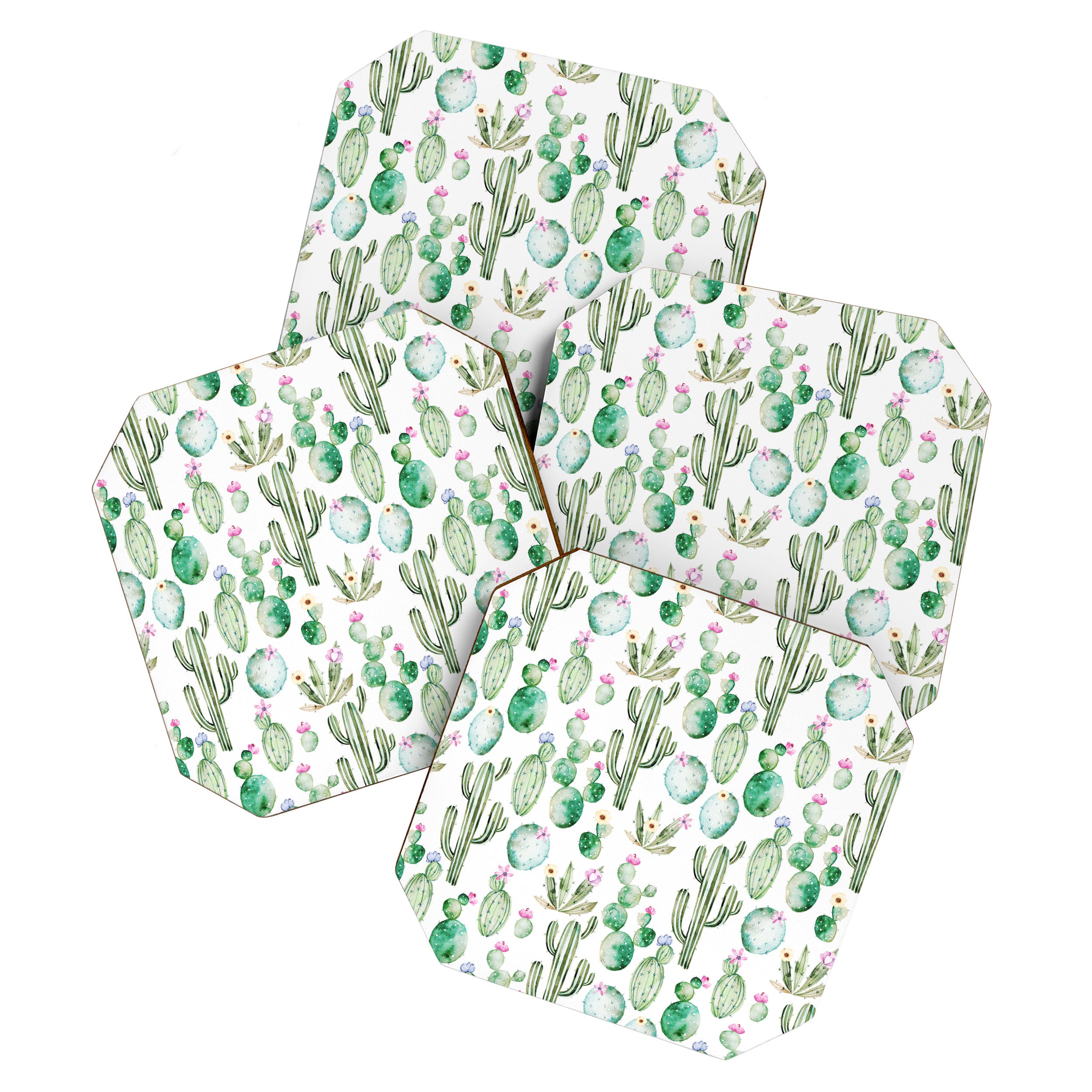 Cactus Summer Garden Coaster Gallery Image 1