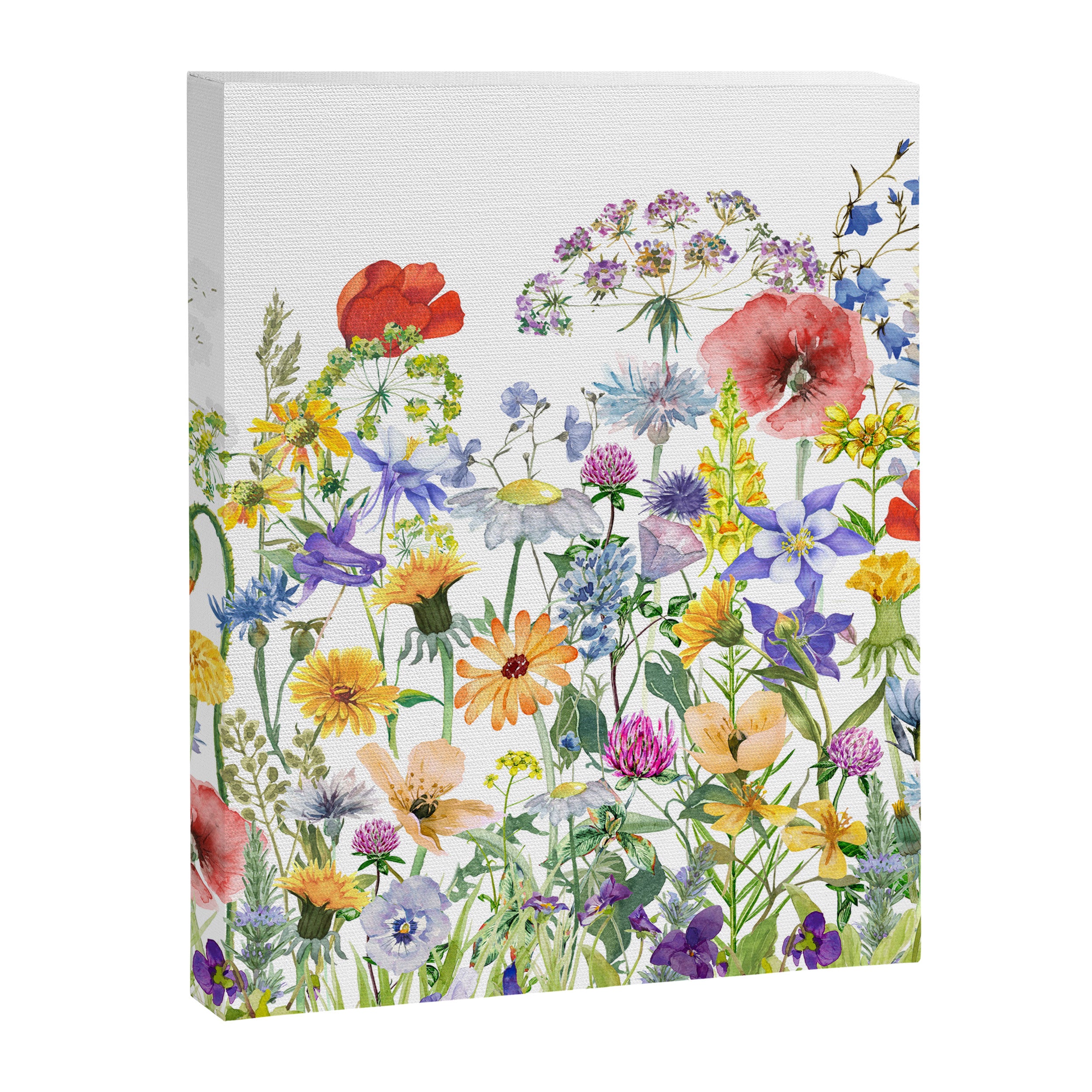 Colorful Midsummer Scandinavian Wildflowers Meadow  Canvas Print Gallery Image 8