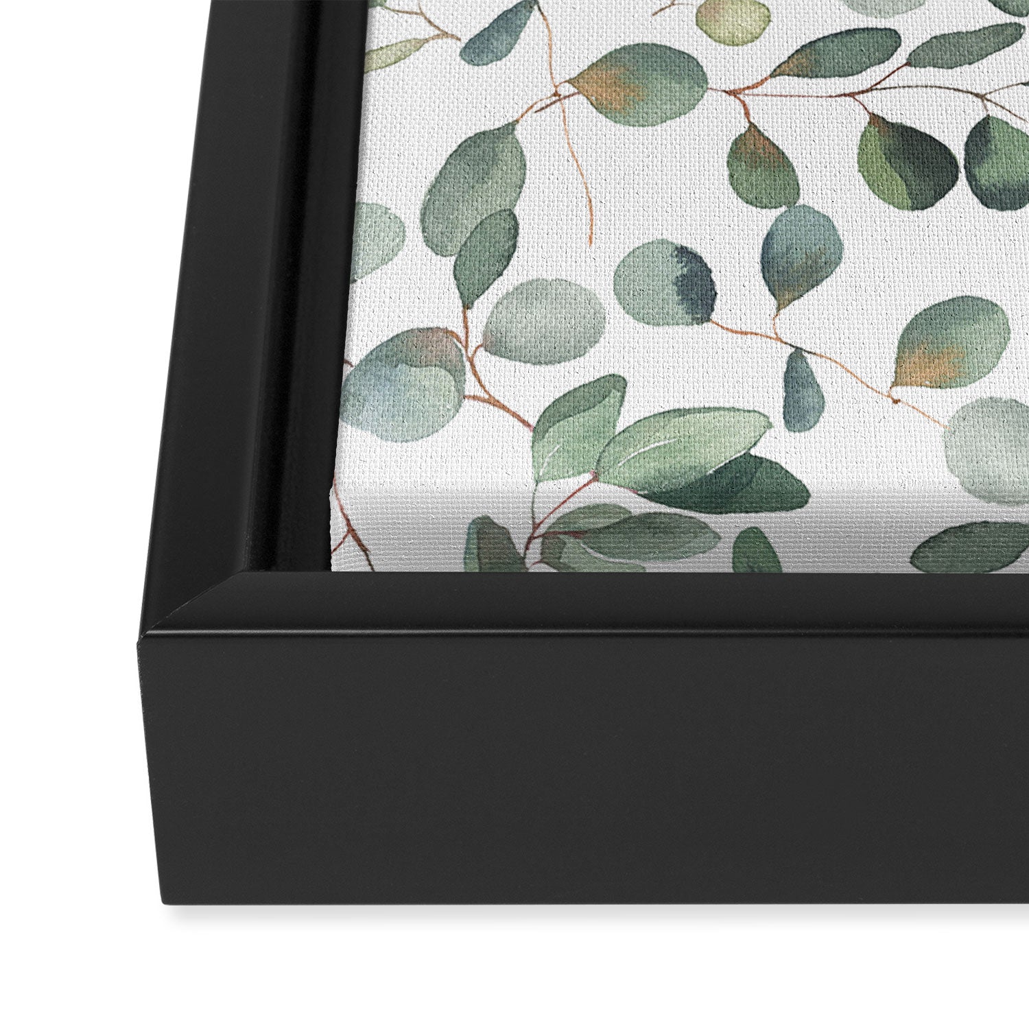 Eucalyptus Leaves Garden Framed Canvas Print Gallery Image 3