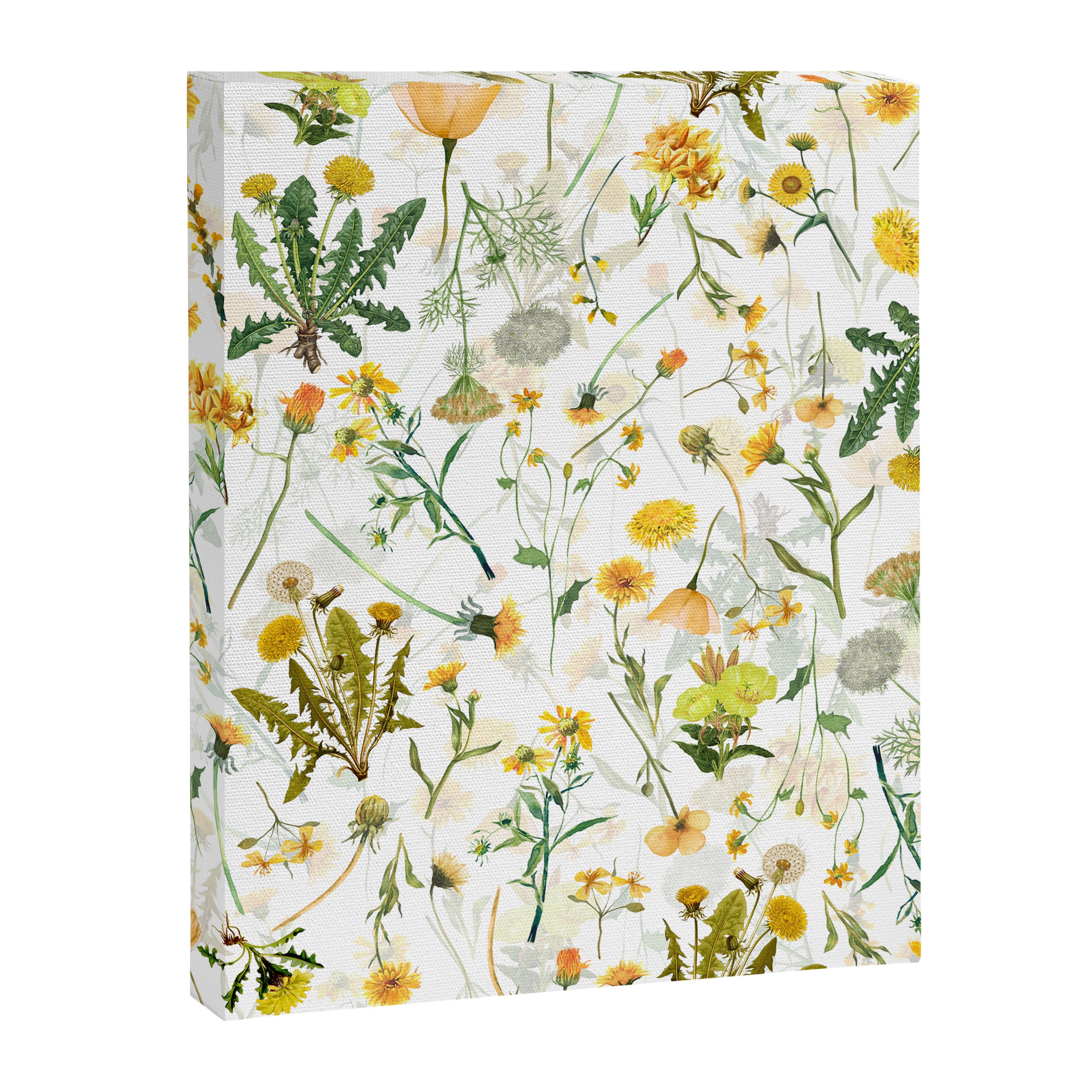 Scandinavian Yellow Wildflowers Botanical Summer Meadow Canvas Print Gallery Image 8