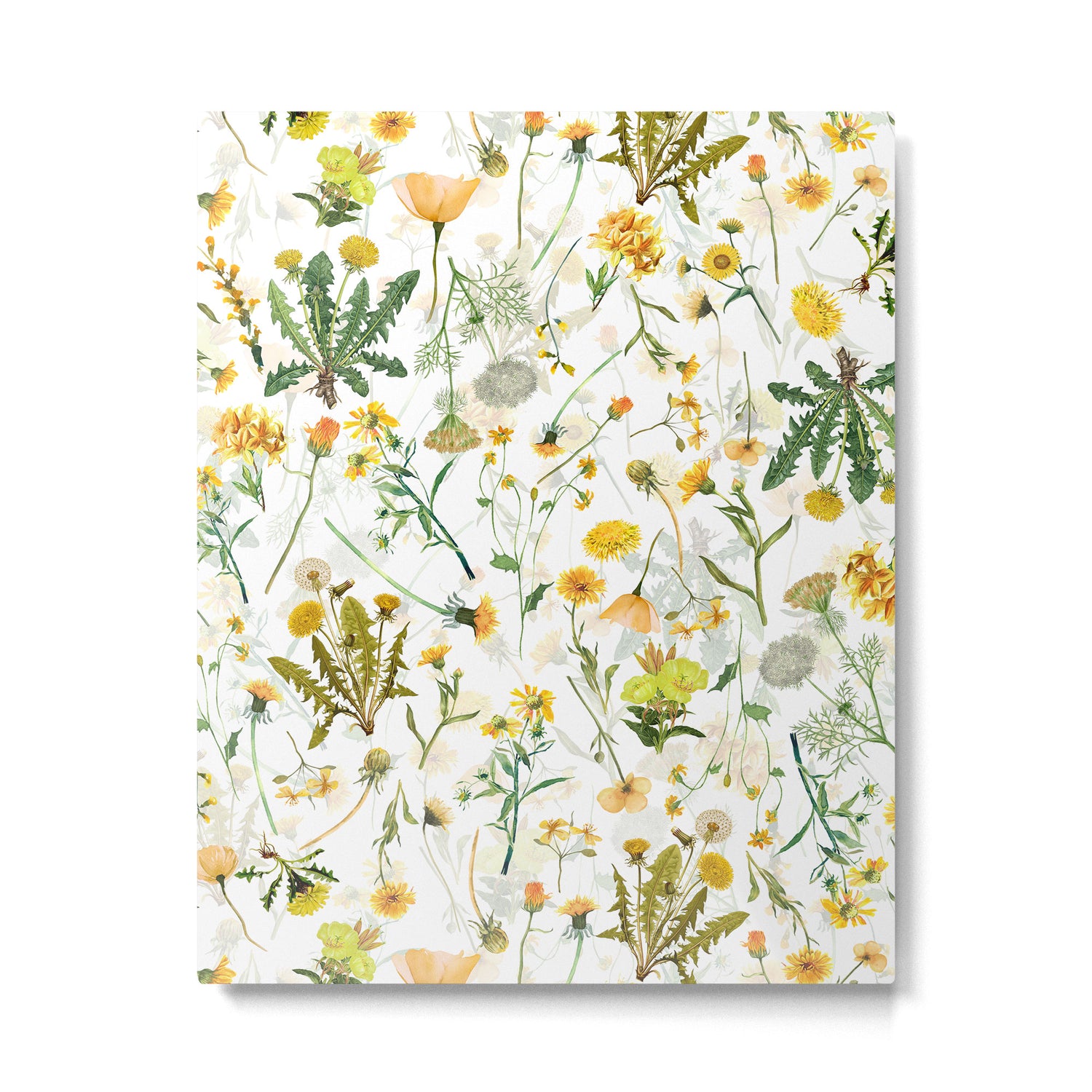 Scandinavian Yellow Wildflowers Botanical Summer Meadow Metal Print Gallery Image 6
