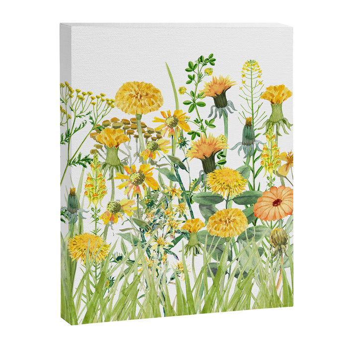 Yellow Scandinavian Wildflowers  Meadow  Canvas Print Gallery Image 1