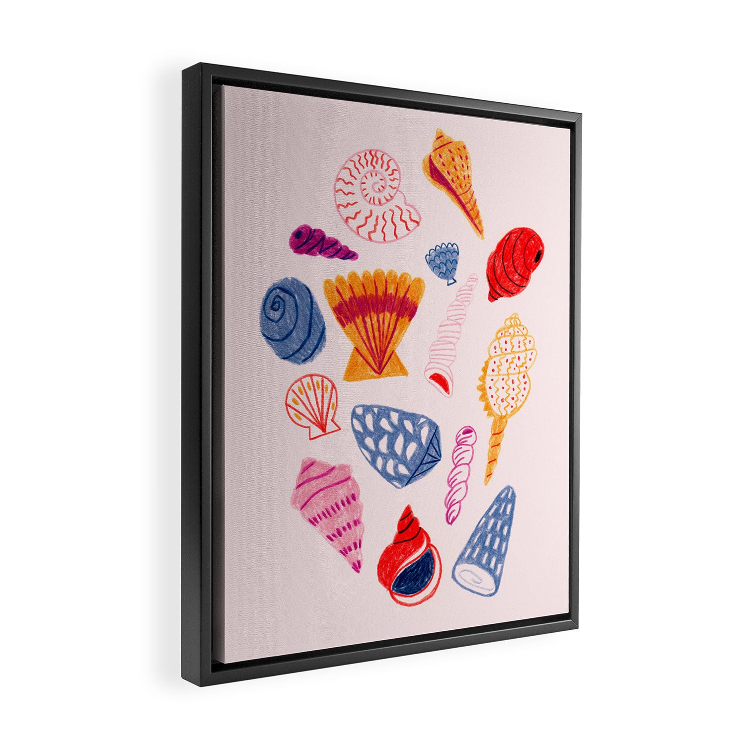 Tropical Seashells Framed Canvas Print Gallery Image 2