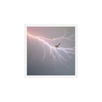 Bird on lightning bolt - Fantail Art Print Gallery Image 1