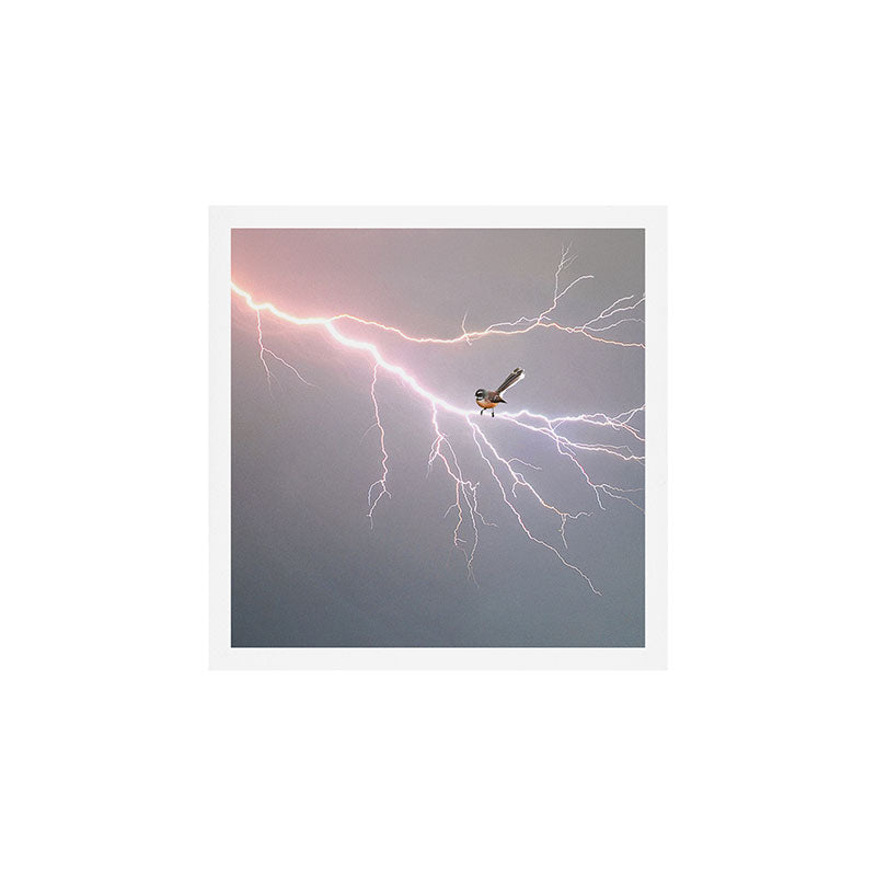Bird on lightning bolt - Fantail Art Print Gallery Image 1