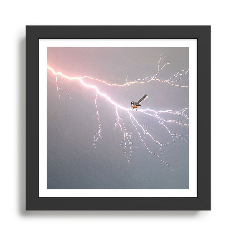 Bird on lightning bolt - Fantail Framed Art Print Gallery Image 1