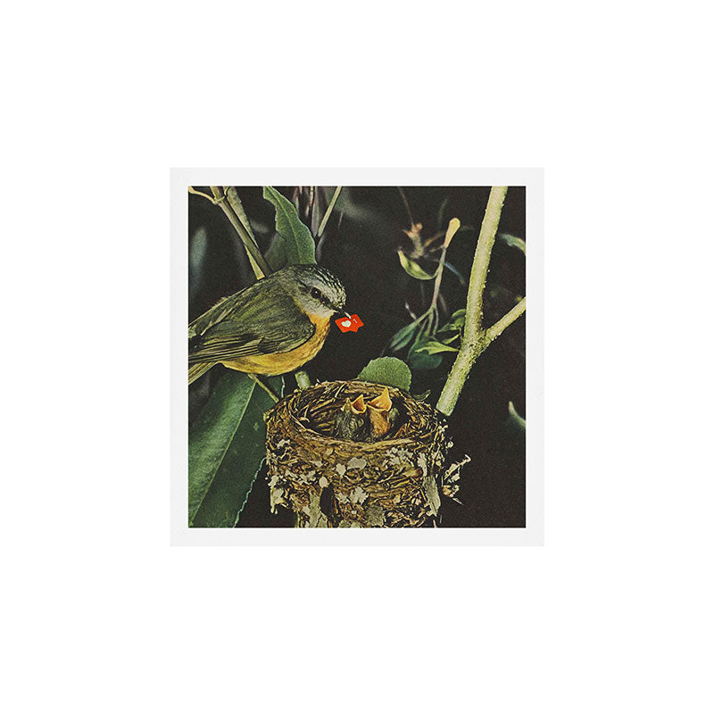 Birdie likes Art Print Gallery Image 1