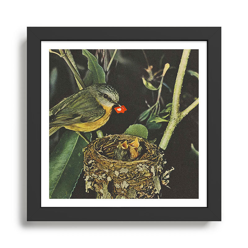 Birdie likes Framed Art Print Gallery Image 1