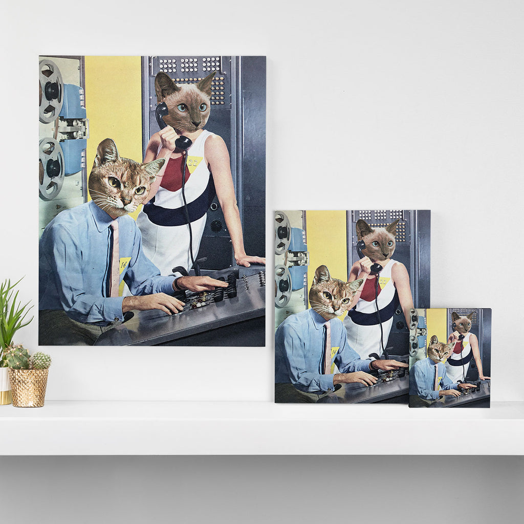 Cat Espionage Canvas Print Gallery Image 3