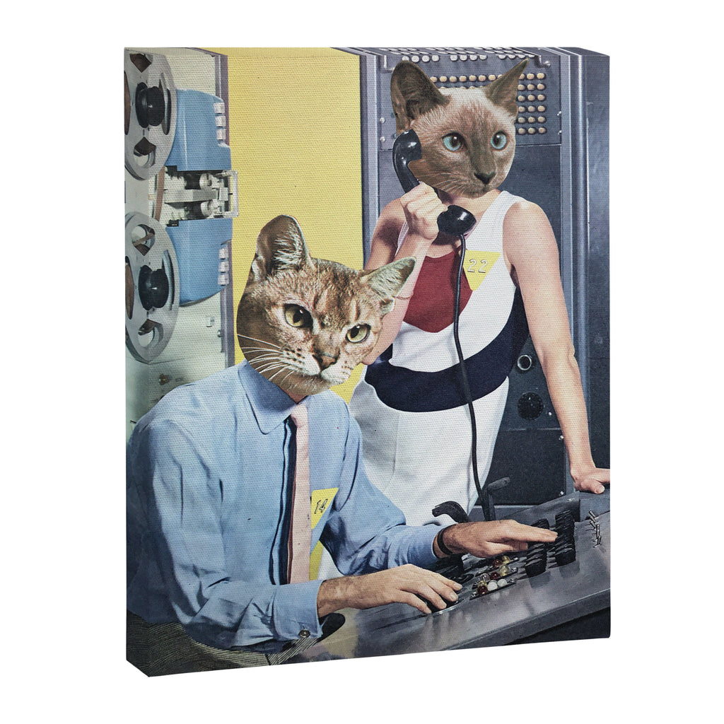 Cat Espionage Canvas Print Gallery Image 6