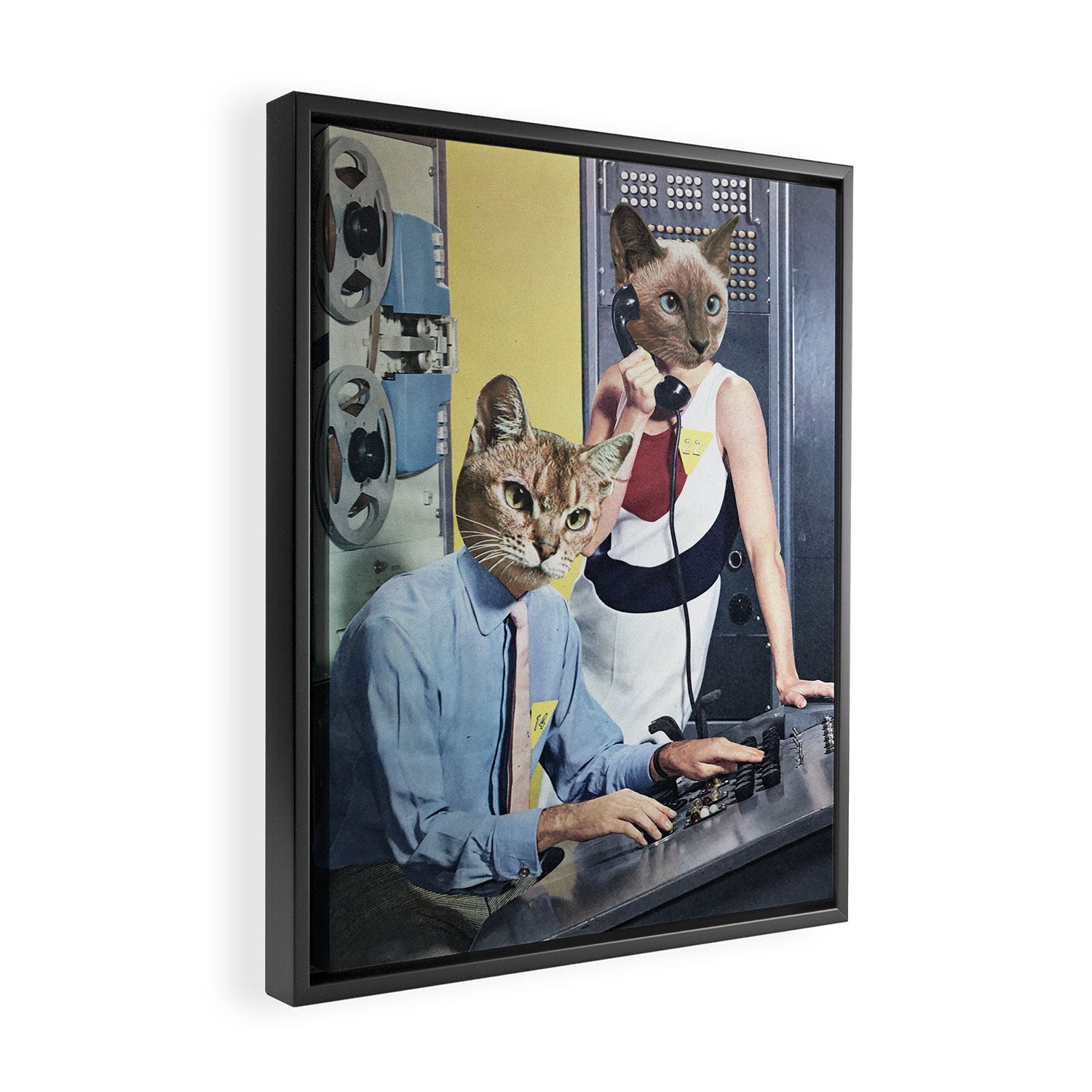 Cat Espionage Framed Canvas Print Gallery Image 2