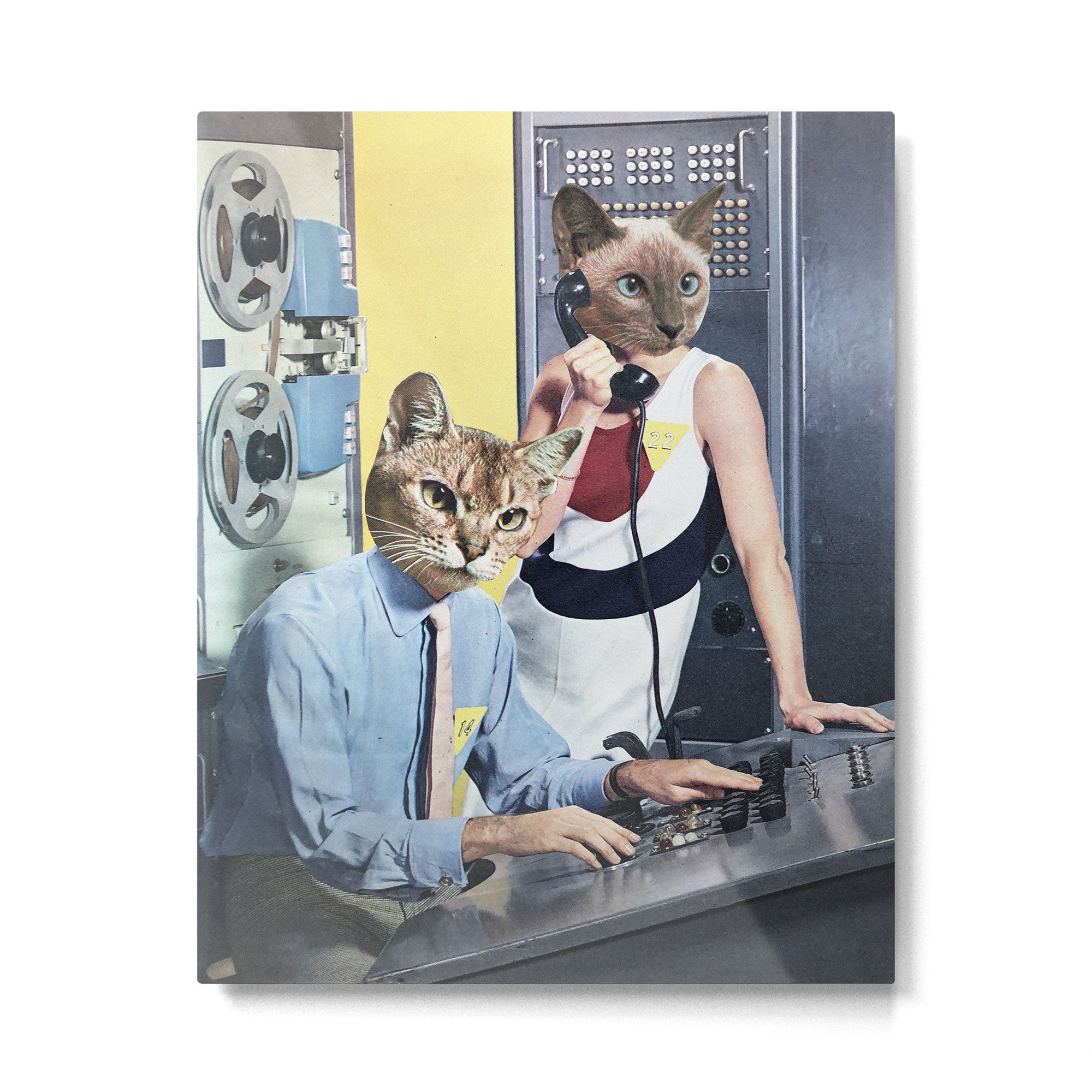 Cat Espionage Metal Print Gallery Image 4