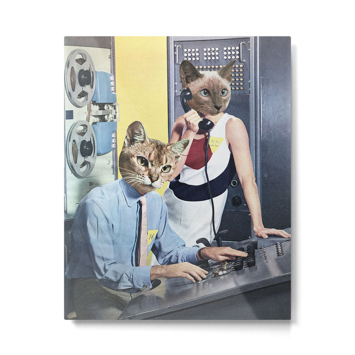 Cat Espionage Metal Print Gallery Image 1