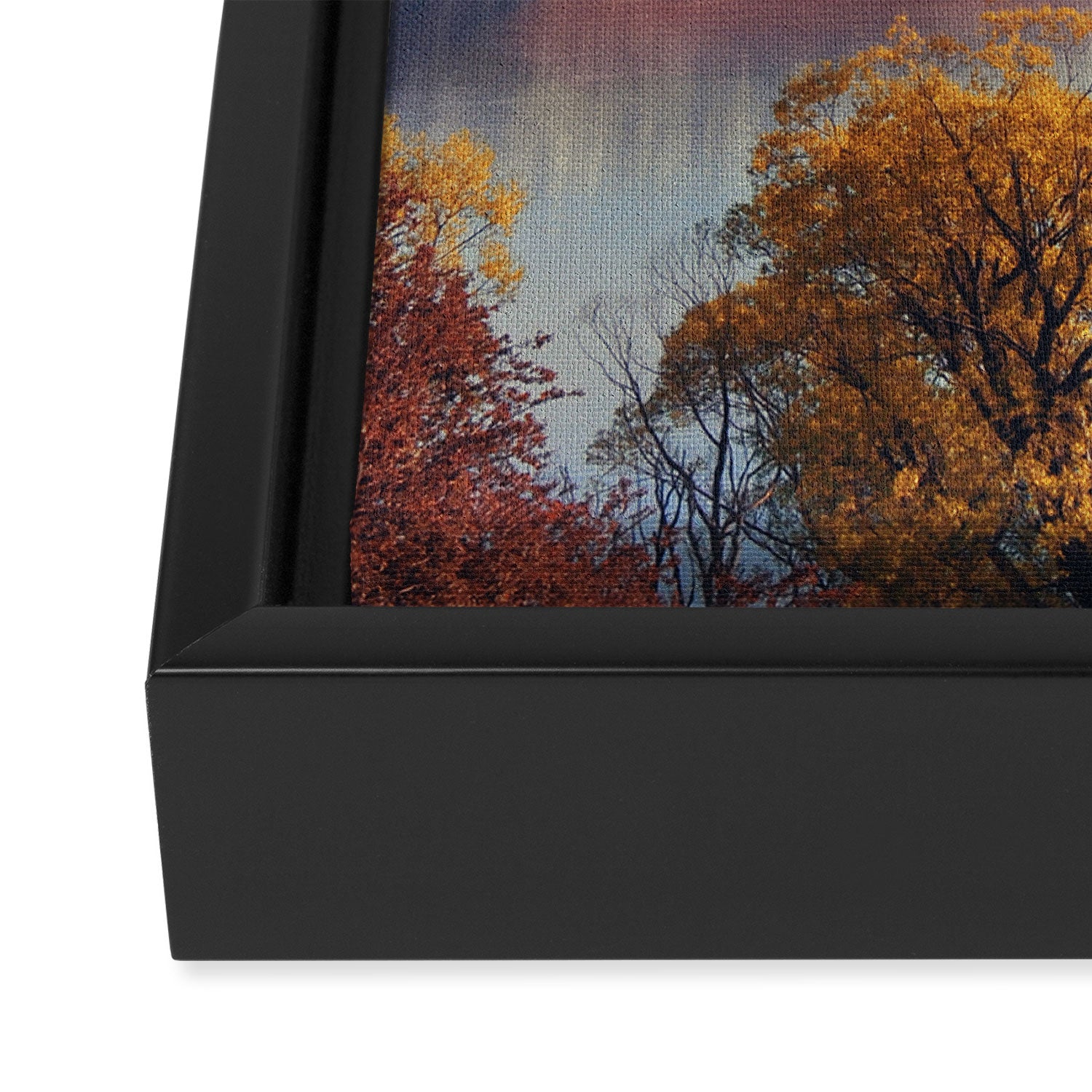 Deep clean lake II Framed Canvas Print Gallery Image 3